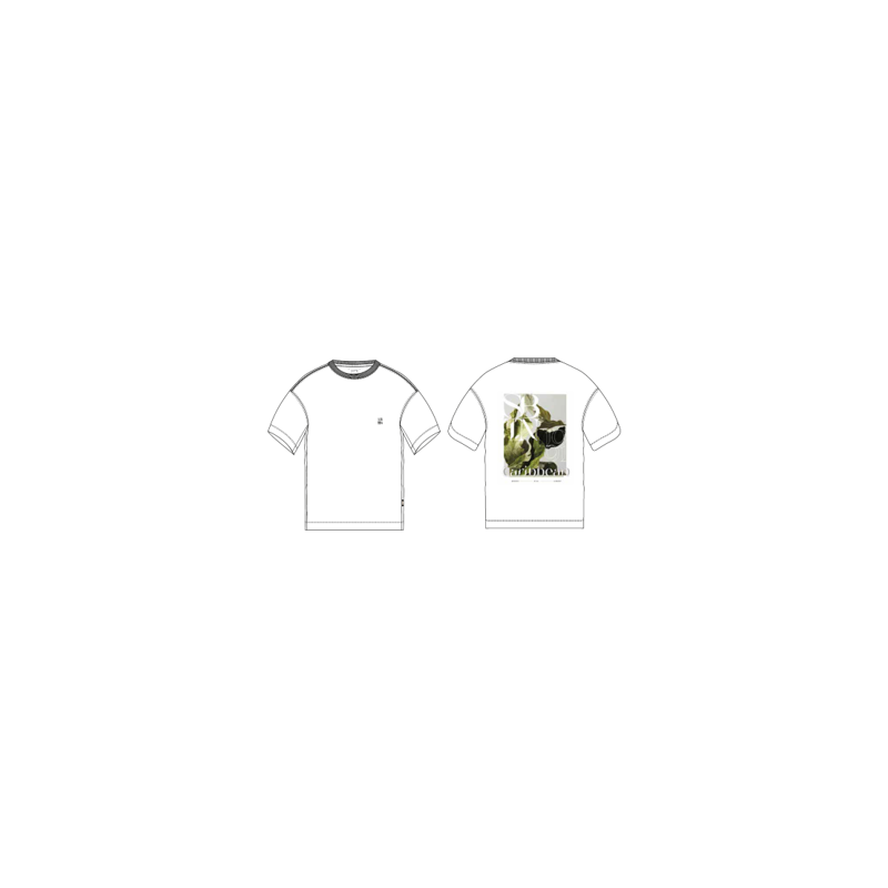 t-sbtn-harold mc